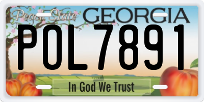 GA license plate POL7891