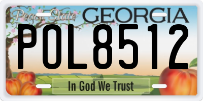 GA license plate POL8512