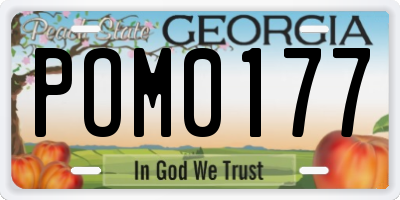 GA license plate POM0177