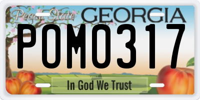 GA license plate POM0317