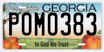 GA license plate POM0383
