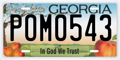 GA license plate POM0543