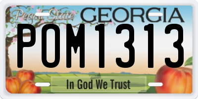 GA license plate POM1313
