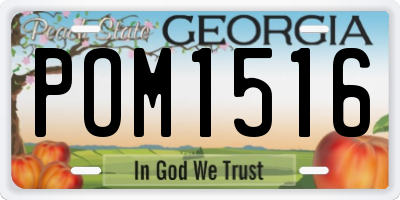 GA license plate POM1516