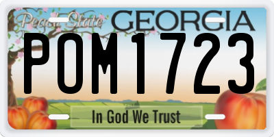 GA license plate POM1723