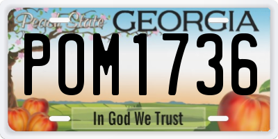 GA license plate POM1736