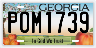 GA license plate POM1739
