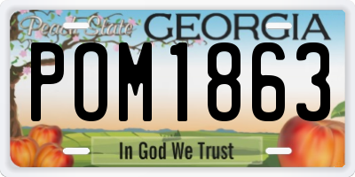 GA license plate POM1863