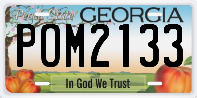 GA license plate POM2133