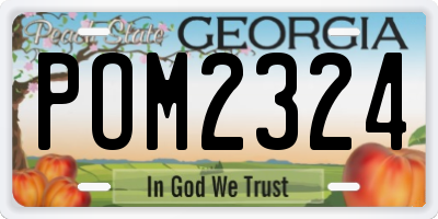 GA license plate POM2324