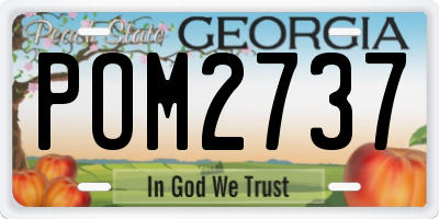 GA license plate POM2737