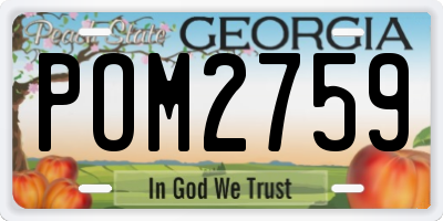 GA license plate POM2759
