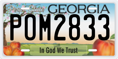 GA license plate POM2833