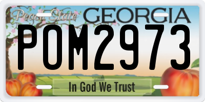 GA license plate POM2973