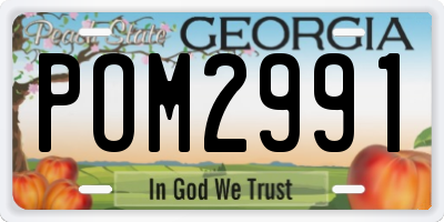 GA license plate POM2991
