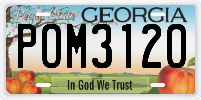 GA license plate POM3120