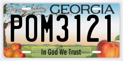 GA license plate POM3121