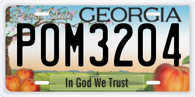 GA license plate POM3204