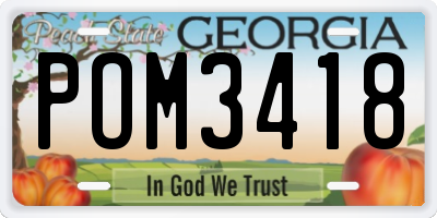 GA license plate POM3418