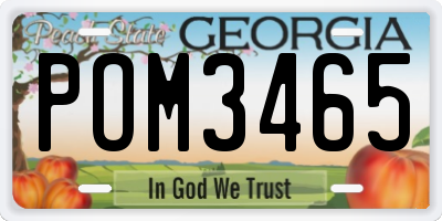 GA license plate POM3465
