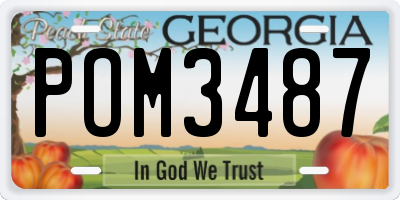 GA license plate POM3487