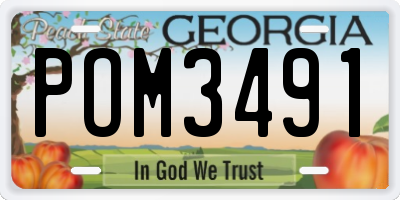 GA license plate POM3491