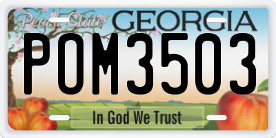 GA license plate POM3503