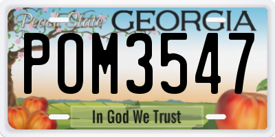 GA license plate POM3547