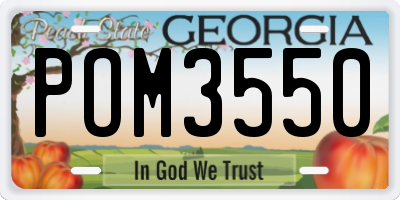 GA license plate POM3550