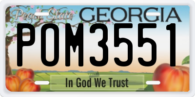 GA license plate POM3551