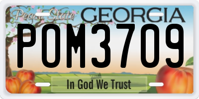 GA license plate POM3709