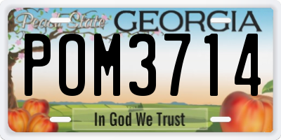 GA license plate POM3714