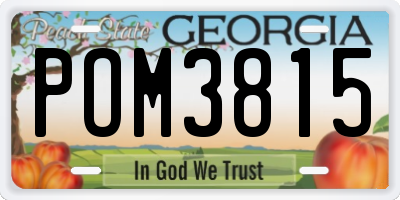 GA license plate POM3815