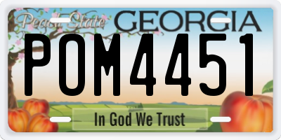 GA license plate POM4451