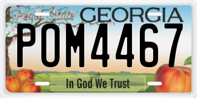 GA license plate POM4467
