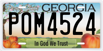 GA license plate POM4524