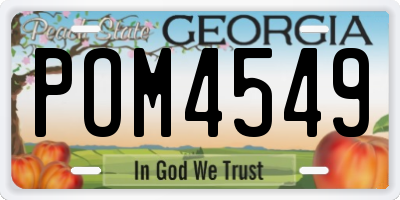 GA license plate POM4549