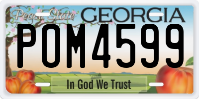 GA license plate POM4599