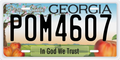 GA license plate POM4607