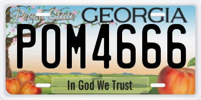 GA license plate POM4666