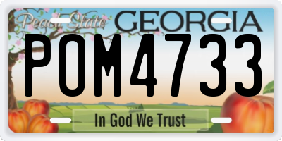 GA license plate POM4733