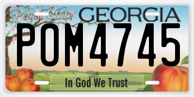 GA license plate POM4745