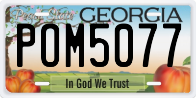 GA license plate POM5077