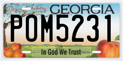 GA license plate POM5231