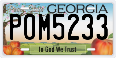 GA license plate POM5233
