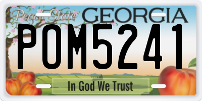 GA license plate POM5241