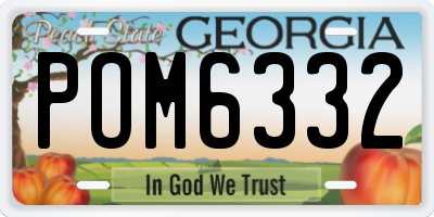GA license plate POM6332