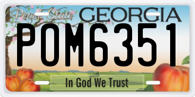 GA license plate POM6351