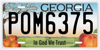 GA license plate POM6375