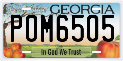 GA license plate POM6505